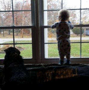 Meet your Posher, Gilbert